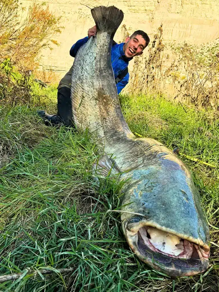 Dos jóvenes capturaron un siluro de 85 kilos en Zaragoza.