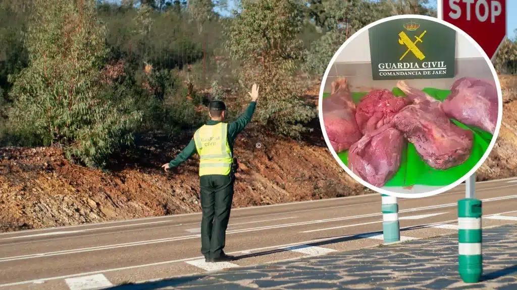 Denunciado por furtivo un hombre que llevaba en el coche carne de ciervo sin documentación