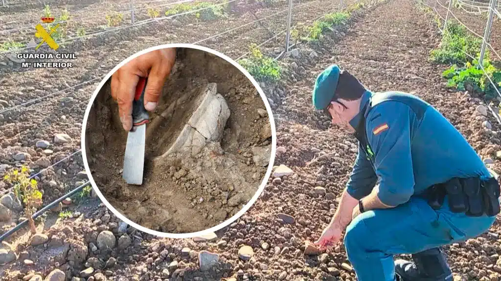 Un agricultor se enfrenta a una pena de cárcel por arar una de sus tierras y dañar un yacimiento arqueológico