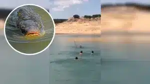 Parece un chiste pero es real: Va a pescar carpas y el pez se lleva su caña