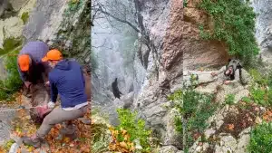 El ingenioso truco de unos cazadores para sacar los jabalíes abatidos en una zona de difícil acceso