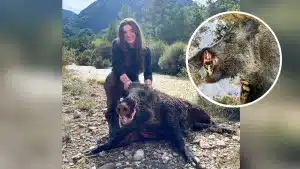 Una cazadora abate uno de los jabalíes más grandes de la temporada en Aragón