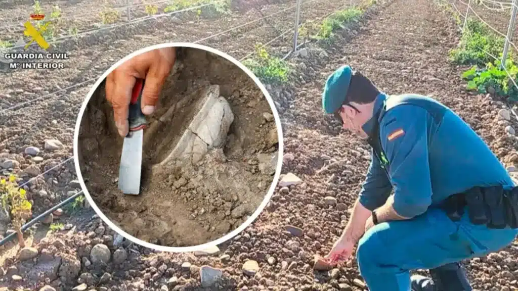 Un agricultor se enfrenta a una pena de cárcel por arar una de sus tierras y dañar un yacimiento arqueológico