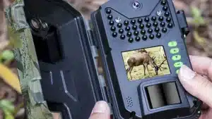 Amazon pone a la venta su cámara de fototrampeo más vendida por solo 33 euros