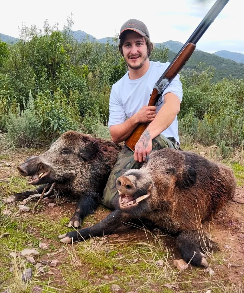 Un cazador abatió a dos grandes ejemplares de jabalí en un día.