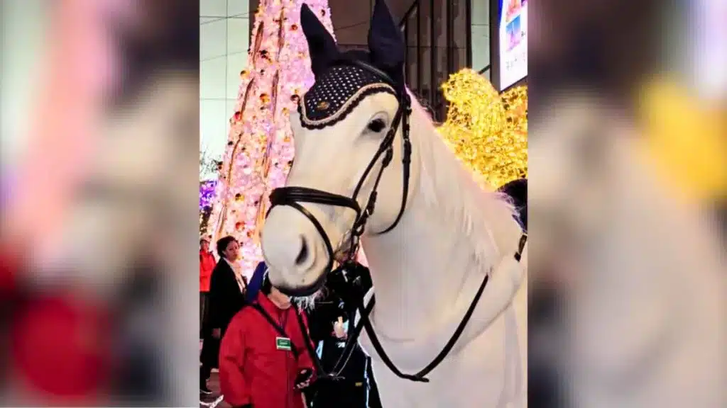 Exponen en Japón un caballo robot que parece de verdad.