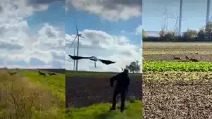 Imágenes del vídeo © Facebook