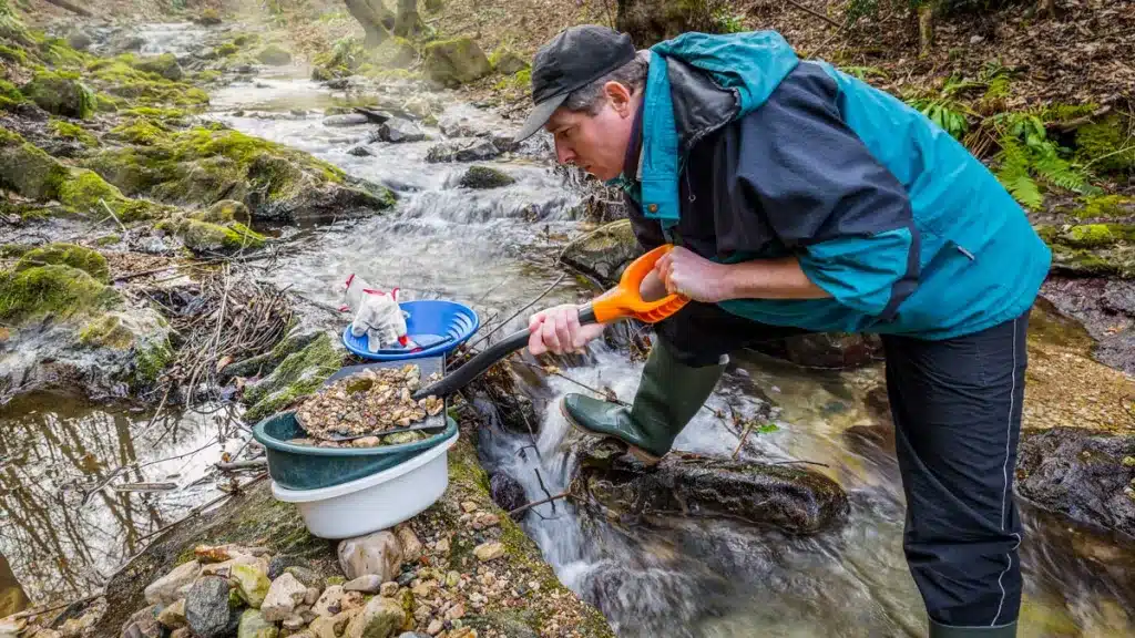 Un buscador de oro criba sedimentos para buscar pepitas de oro en un río.