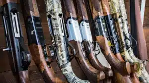 Armas de caza almacenadas.