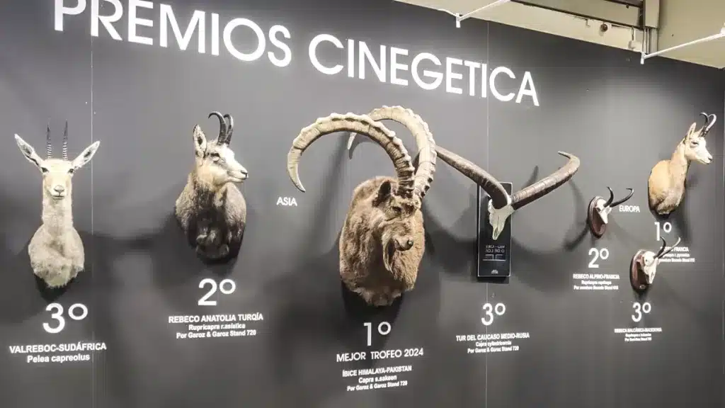 Premios Cinegética