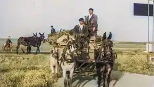 Recrean en vídeo cómo era la vida en los pueblos de España en 1961 gracias a la inteligencia artificial