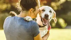 Descubren un virus que provoca obesidad en humanos y que podría ser contagiado por perros