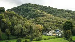 Menos guardas y más furtivismo en Ancares: los ayuntamientos denuncian la ausencia de medios y gestión