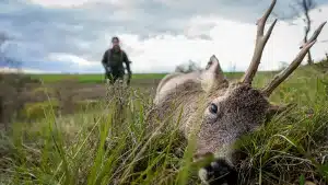 Nocpix busca a tres cazadores para cazar gratis durante tres días en Huesca