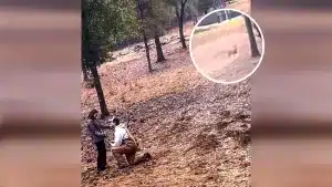Un cazador pide matrimonio a su novia en plena cacería cuando un ciervo les da una sorpresa