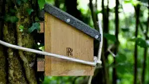 Rolls-Royce construye cajas nido para el lirón enano.