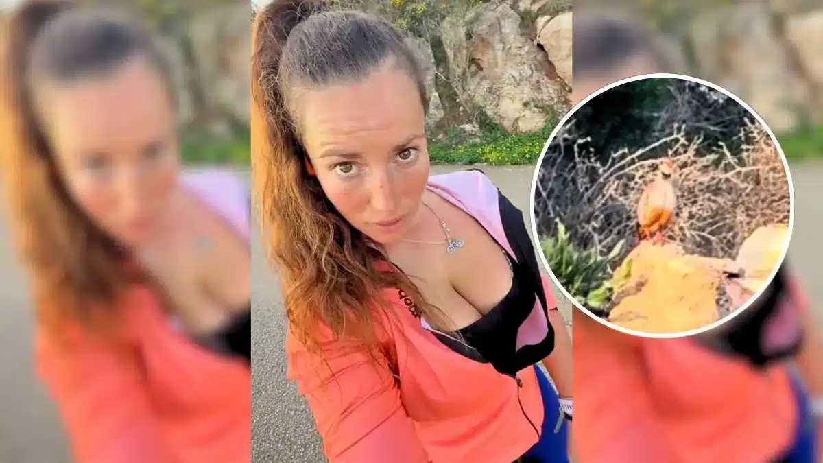 La ciclista influencer Cecilia Sopeña sorprende a sus seguidores mostrando  dos perdices en pleno celo - Revista Jara y Sedal