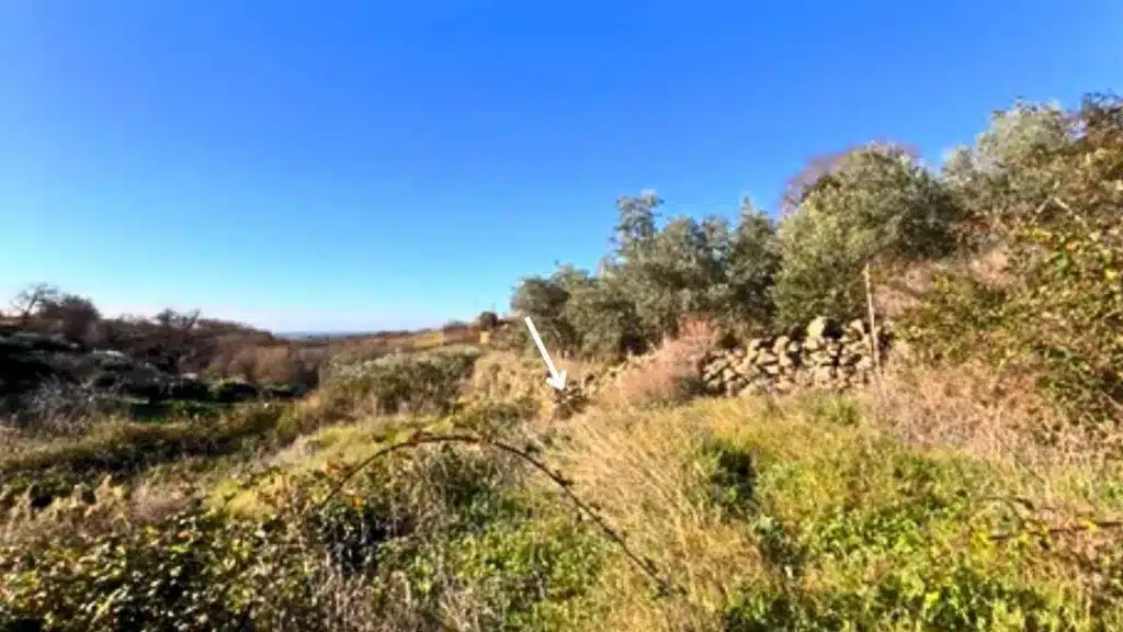 Un cazador se lleva una sorpresa al cambiar de puesto en una batida y dejar su cámara grabando.