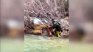 Un cazador rescata a sus perros que se habían quedado atrapados al otro lado del río Tajo.