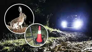 Furtivos aprovechan el partido de fútbol entre Manchester City y Real Madrid para robar liebres con redes en Toledo