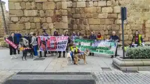 La sociedad da la espalda a las manifestaciones en contra de la caza, que fracasan una año más
