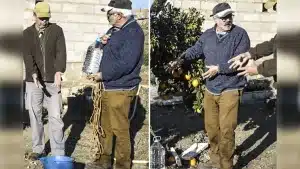 Por qué se pone un cubo de agua debajo de los árboles: un veterano agricultor desvela el secreto de este truco