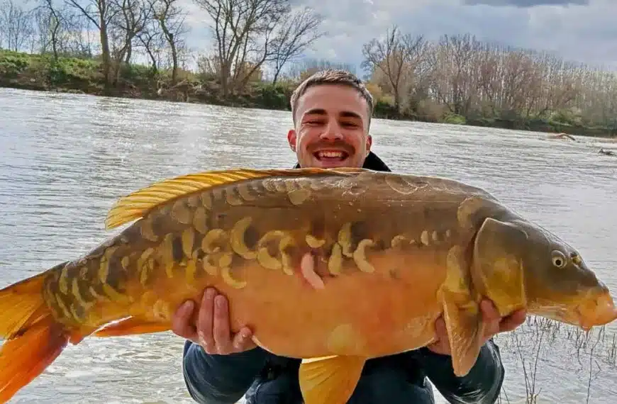 Un joven pesca una gran carpa de 14 kilos en Navarra.