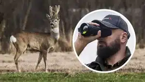 ¿Puedo usar un térmico para controlar corzos fuera de temporada en las comunidades que lo prohíben para cazar?