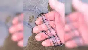 Un hombre de campo muestra una curiosa imagen de la naturaleza.