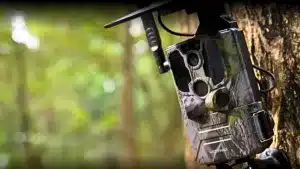 Amazon aprovecha su Fiesta de Ofertas de Primavera y tira el precio de esta cámara trampa que no necesita WiFi ni batería.