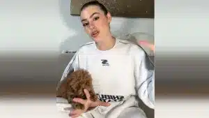 presvet antibióticos perros