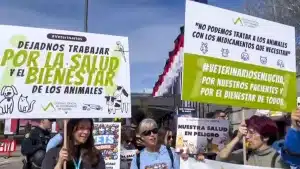 Los veterinarios echan el cierre: mañana se manifiestan en Madrid contra la nueva ley de medicamentos