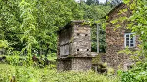 subasta fincas rústicas Galicia