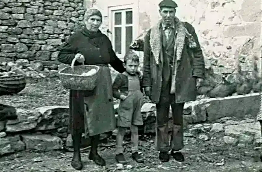 Esto es lo que pagaba el Estado a los cazadores en 1903 por cazar un lobo, un ‘ave de rapiña’ o un gato montés