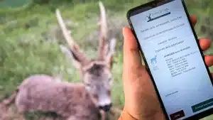 como-usar-precinto-digital