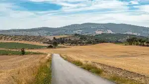 Hacienda fincas rústicas Granada