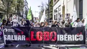 Manifestación lobo