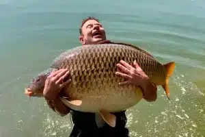 Pescan la mayor carpa del planeta tierra: un enorme pez del tamaño de un jabalí
