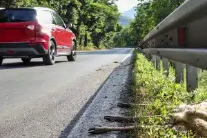 accidentes corzo jabali