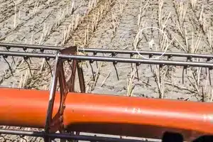 agricultor extraño animal