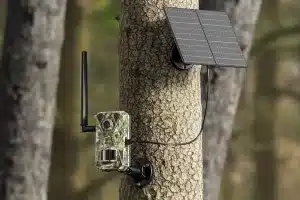 Cámara sin WiFi ni luz