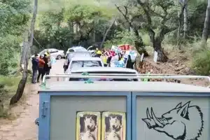 Condenados ecologistas sabotearon batida jabalí