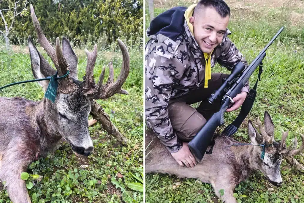 Corzo multipuntas Ciudad Real