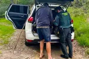 Domingueros multas caminos