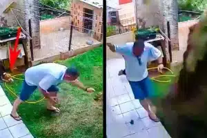 explosión topillos jardín