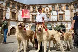 El público respalda con masiva afluencia el protagonismo de la caza en la Feria del Perro de Archidona