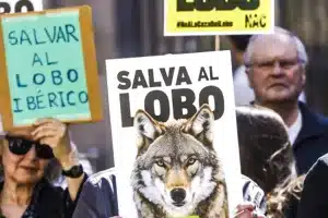 lobo animalistas