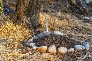 multa enterrar mascota campo
