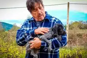 Multa perro adoptado