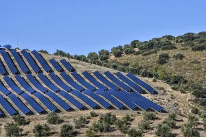 Los cazadores plantan cara al avance descontrolado de los huertos solares en Andalucía